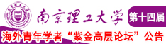 碰摸舔操逼高清视频南京理工大学第十四届海外青年学者紫金论坛诚邀海内外英才！